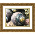 thumbnail image 1 of Grayscale 14x12 Gold Ornate Wood Framed with Double Matting Museum Art Print Titled - Shell Spiral I, 1 of 4