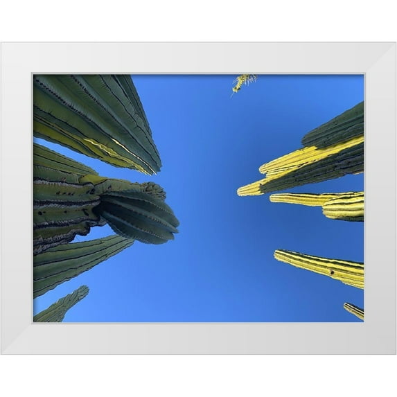 Grayscale 14x12 White Modern Wood Framed Museum Art Print Titled - Desert Canopy I