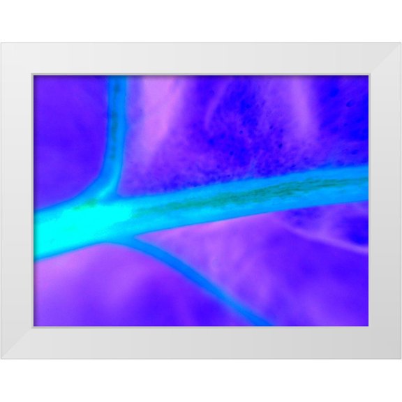 Grayscale 14x12 White Modern Wood Framed Museum Art Print Titled - Energy Connection I
