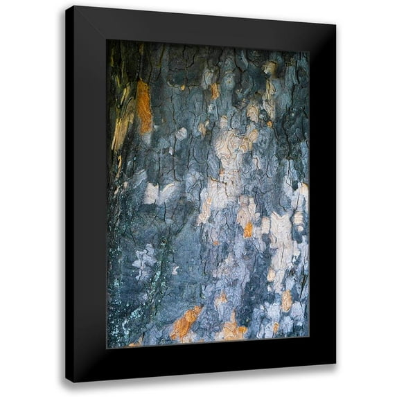 Grayscale 14x18 Black Modern Framed Museum Art Print Titled - Bark Scales IV