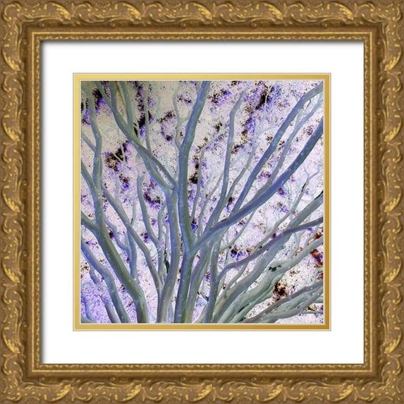 Grayscale 15x15 Gold Ornate Wood Framed with Double Matting Museum Art Print Titled - Space Canopy II