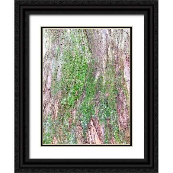 Grayscale 15x18 Black Ornate Wood Framed with Double Matting Museum Art Print Titled - Bark and Moss II