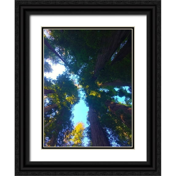 Grayscale 15x18 Black Ornate Wood Framed with Double Matting Museum Art Print Titled - Tree Canopy X