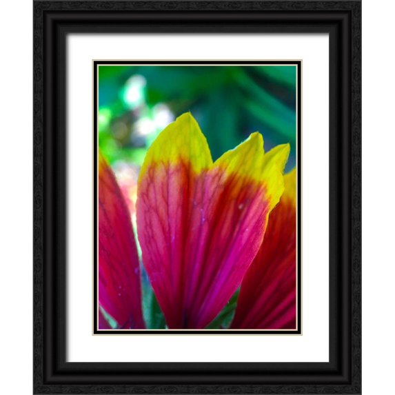 Grayscale 15x18 Black Ornate Wood Framed with Double Matting Museum Art Print Titled - Yellow Tips I