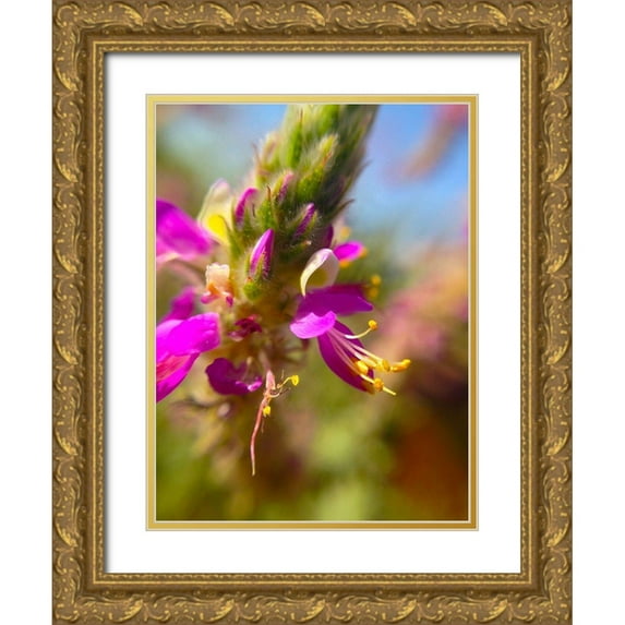Grayscale 15x18 Gold Ornate Wood Framed with Double Matting Museum Art Print Titled - Exploding Buds II