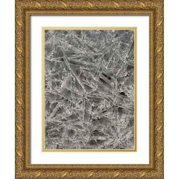 Grayscale 15x18 Gold Ornate Wood Framed with Double Matting Museum Art Print Titled - Ice II