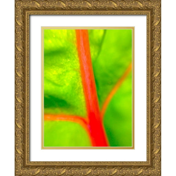 Grayscale 15x18 Gold Ornate Wood Framed with Double Matting Museum Art Print Titled - Red Branch I