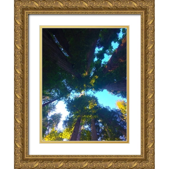 Grayscale 15x18 Gold Ornate Wood Framed with Double Matting Museum Art Print Titled - Tree Canopy IX