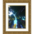 thumbnail image 1 of Grayscale 15x18 Gold Ornate Wood Framed with Double Matting Museum Art Print Titled - Tree Canopy X, 1 of 4