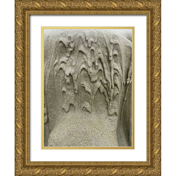 Grayscale 15x18 Gold Ornate Wood Framed with Double Matting Museum Art Print Titled - Wet Sand IX
