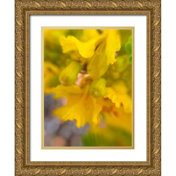 Grayscale 15x18 Gold Ornate Wood Framed with Double Matting Museum Art Print Titled - Yellow Wildflower II