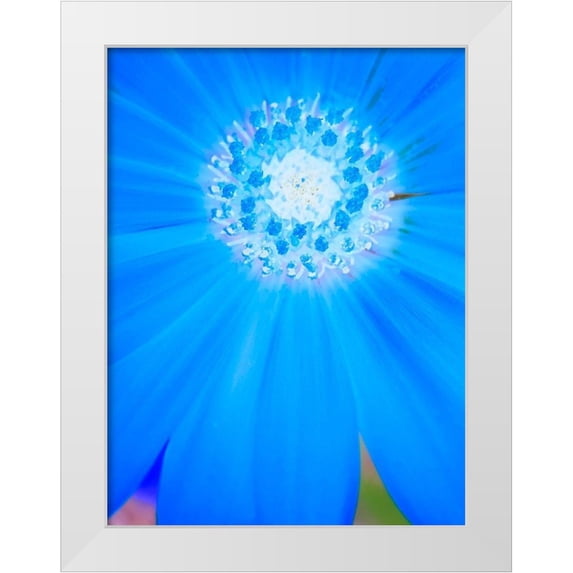 Grayscale 15x18 White Modern Wood Framed Museum Art Print Titled - Natural Reactor II