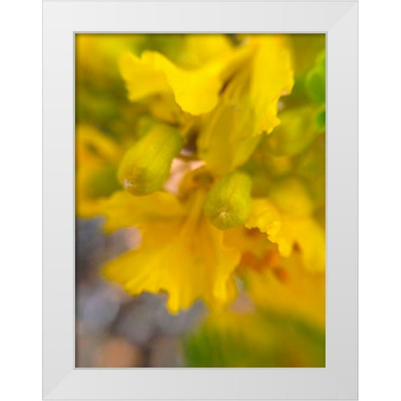 Grayscale 15x18 White Modern Wood Framed Museum Art Print Titled - Yellow Wildflower II