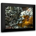 thumbnail image 1 of Grayscale 18x15 Black Modern Framed Museum Art Print Titled - Lichen III, 1 of 5