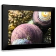 thumbnail image 1 of Grayscale 18x15 Black Modern Framed Museum Art Print Titled - Shell Spiral II, 1 of 5
