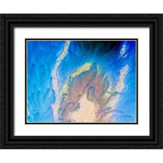 Grayscale 18x15 Black Ornate Wood Framed with Double Matting Museum Art Print Titled - Blue Fur II
