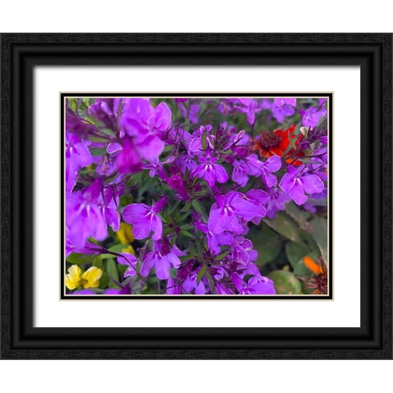 Grayscale 18x15 Black Ornate Wood Framed with Double Matting Museum Art Print Titled - Flower Spot II