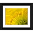thumbnail image 1 of Grayscale 18x15 Black Ornate Wood Framed with Double Matting Museum Art Print Titled - Yellow Wildflower V, 1 of 4