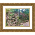 thumbnail image 1 of Grayscale 18x15 Gold Ornate Wood Framed with Double Matting Museum Art Print Titled - Root System I, 1 of 4