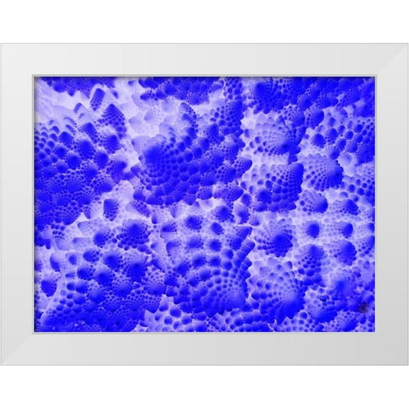 Grayscale 18x15 White Modern Wood Framed Museum Art Print Titled - Fractal Clouds II