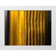 thumbnail image 1 of Grayscale 18x15 White Modern Wood Framed Museum Art Print Titled - Frame Pic XIII, 1 of 4