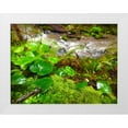 thumbnail image 1 of Grayscale 18x15 White Modern Wood Framed Museum Art Print Titled - Smallest Redwood, 1 of 4