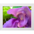 thumbnail image 1 of Grayscale 18x15 White Modern Wood Framed Museum Art Print Titled - Snail Bloom II, 1 of 4