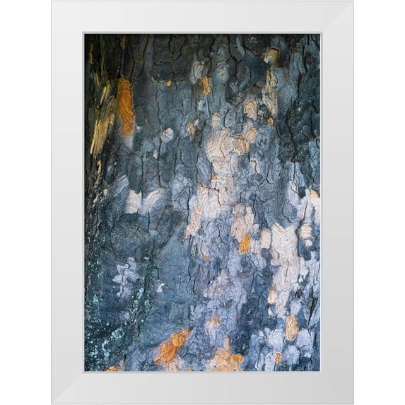 Grayscale 18x24 White Modern Wood Framed Museum Art Print Titled - Bark Scales IV