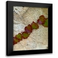 thumbnail image 1 of Grayscale 19x24 Black Modern Framed Museum Art Print Titled - Ivy II, 1 of 5