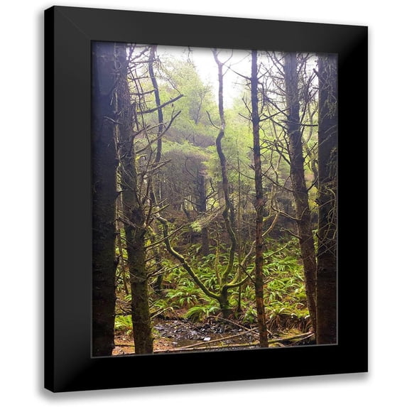 Grayscale 19x24 Black Modern Framed Museum Art Print Titled - Tree Canopy XVI