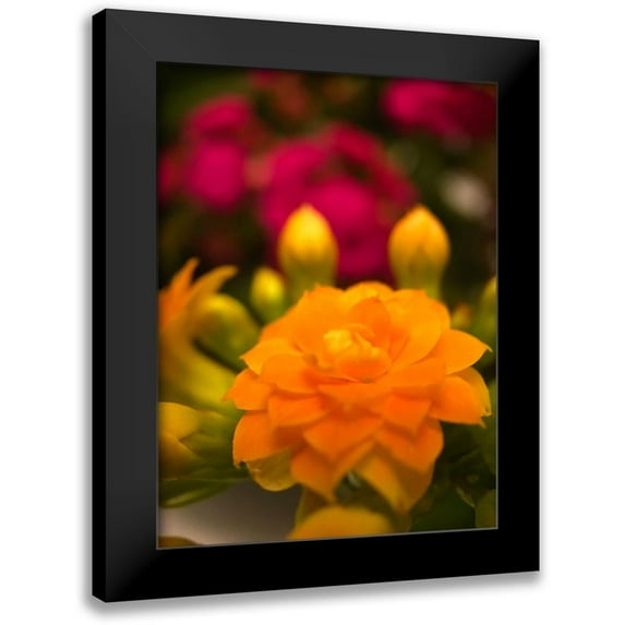 Grayscale 19x24 Black Modern Framed Museum Art Print Titled - Yellow Blooms V