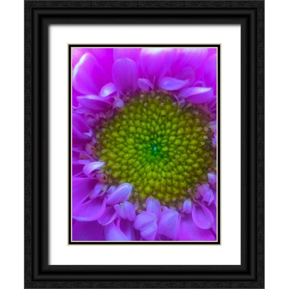 Grayscale 19x24 Black Ornate Wood Framed with Double Matting Museum Art Print Titled - Flower Center I