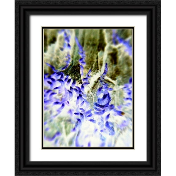 Grayscale 19x24 Black Ornate Wood Framed with Double Matting Museum Art Print Titled - Purple Tails