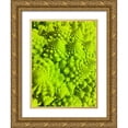 thumbnail image 1 of Grayscale 19x24 Gold Ornate Wood Framed with Double Matting Museum Art Print Titled - Natural Fractals IV, 1 of 4