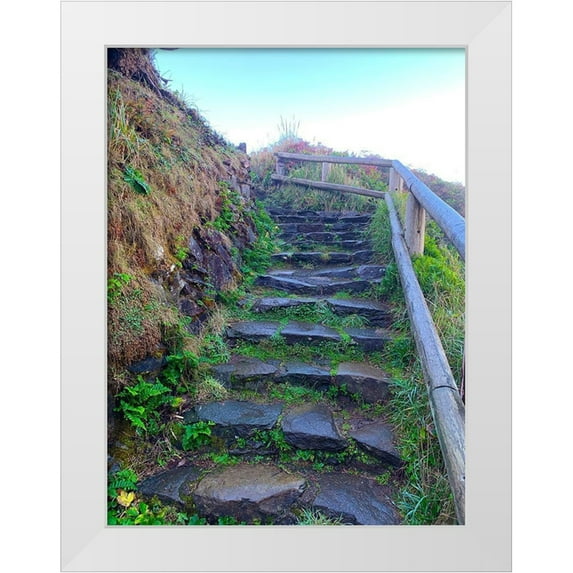 Grayscale 19x24 White Modern Wood Framed Museum Art Print Titled - Stone Stairs I
