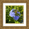thumbnail image 1 of Grayscale 20x20 Gold Ornate Wood Framed with Double Matting Museum Art Print Titled - Blue Blooms I, 1 of 4