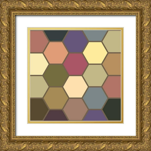 Grayscale 20x20 Gold Ornate Wood Framed with Double Matting Museum Art Print Titled - Soft Hive IV