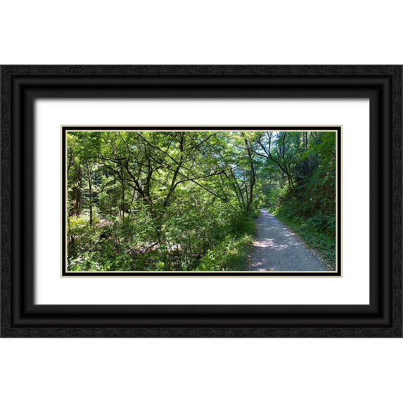 Grayscale 24x14 Black Ornate Wood Framed with Double Matting Museum Art Print Titled - Forest Canopy II