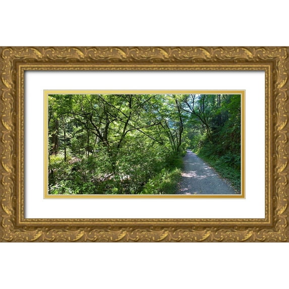 Grayscale 24x14 Gold Ornate Wood Framed with Double Matting Museum Art Print Titled - Forest Canopy II