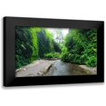 thumbnail image 1 of Grayscale 24x15 Black Modern Framed Museum Art Print Titled - Fern Valley IV, 1 of 5