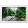 thumbnail image 1 of Grayscale 24x15 White Modern Wood Framed Museum Art Print Titled - Fern Valley IV, 1 of 4