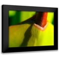 thumbnail image 1 of Grayscale 24x19 Black Modern Framed Museum Art Print Titled - Cactus Spikes IV, 1 of 5