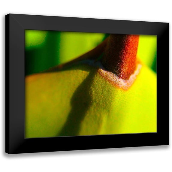 Grayscale 24x19 Black Modern Framed Museum Art Print Titled - Cactus Spikes IV