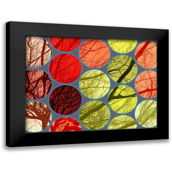 Grayscale 24x19 Black Modern Framed Museum Art Print Titled - Circle Textures IV