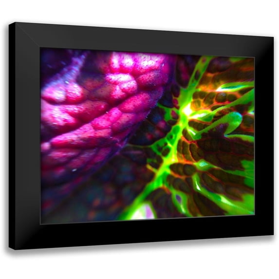 Grayscale 24x19 Black Modern Framed Museum Art Print Titled - Complex Leaves I