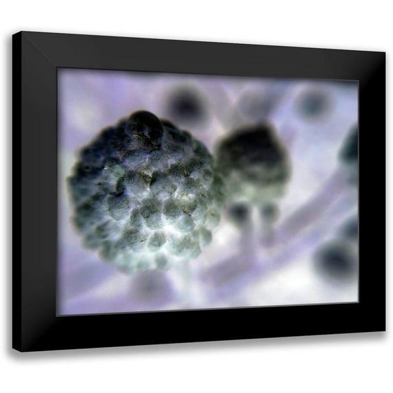 Grayscale 24x19 Black Modern Framed Museum Art Print Titled - Soft Cluster I