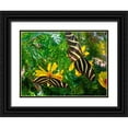 thumbnail image 1 of Grayscale 24x19 Black Ornate Wood Framed with Double Matting Museum Art Print Titled - Butterflies I, 1 of 4