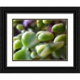 thumbnail image 1 of Grayscale 24x19 Black Ornate Wood Framed with Double Matting Museum Art Print Titled - Elephant Food II, 1 of 4
