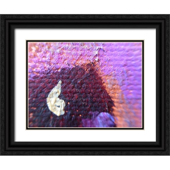 Grayscale 24x19 Black Ornate Wood Framed with Double Matting Museum Art Print Titled - Paint Closeup III