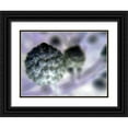 thumbnail image 1 of Grayscale 24x19 Black Ornate Wood Framed with Double Matting Museum Art Print Titled - Soft Cluster I, 1 of 4